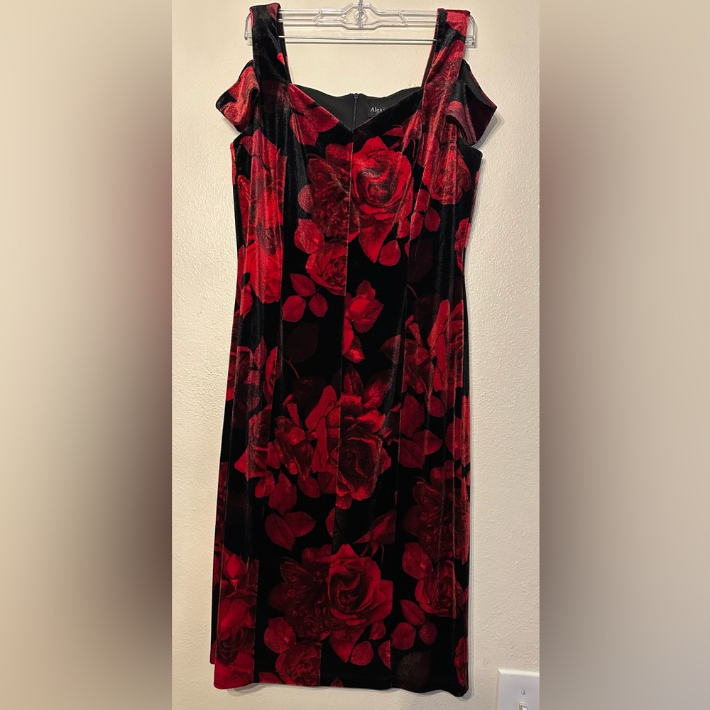 Alexa B Nites Dress Velvet Goth Roses Romantic Vampire Grunge Rockabilly Size 12